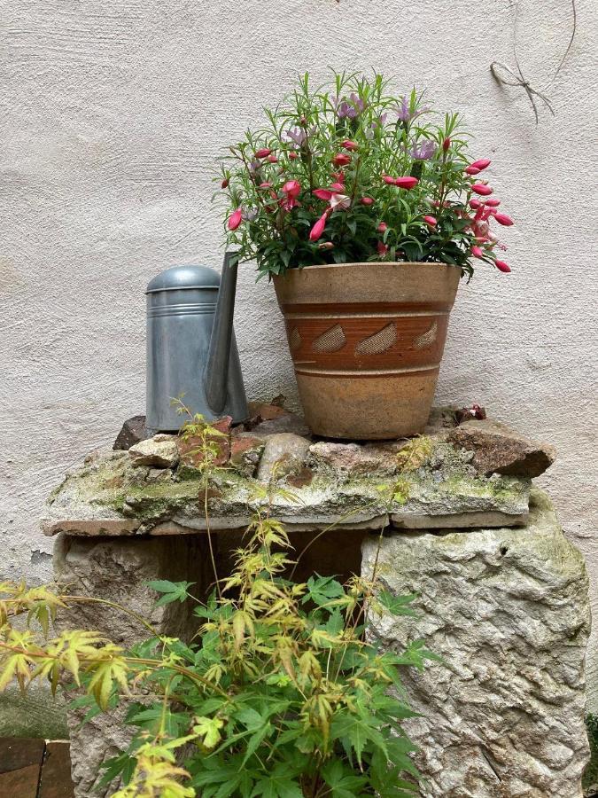 Renaissancestuben Apartment Torgau Bagian luar foto